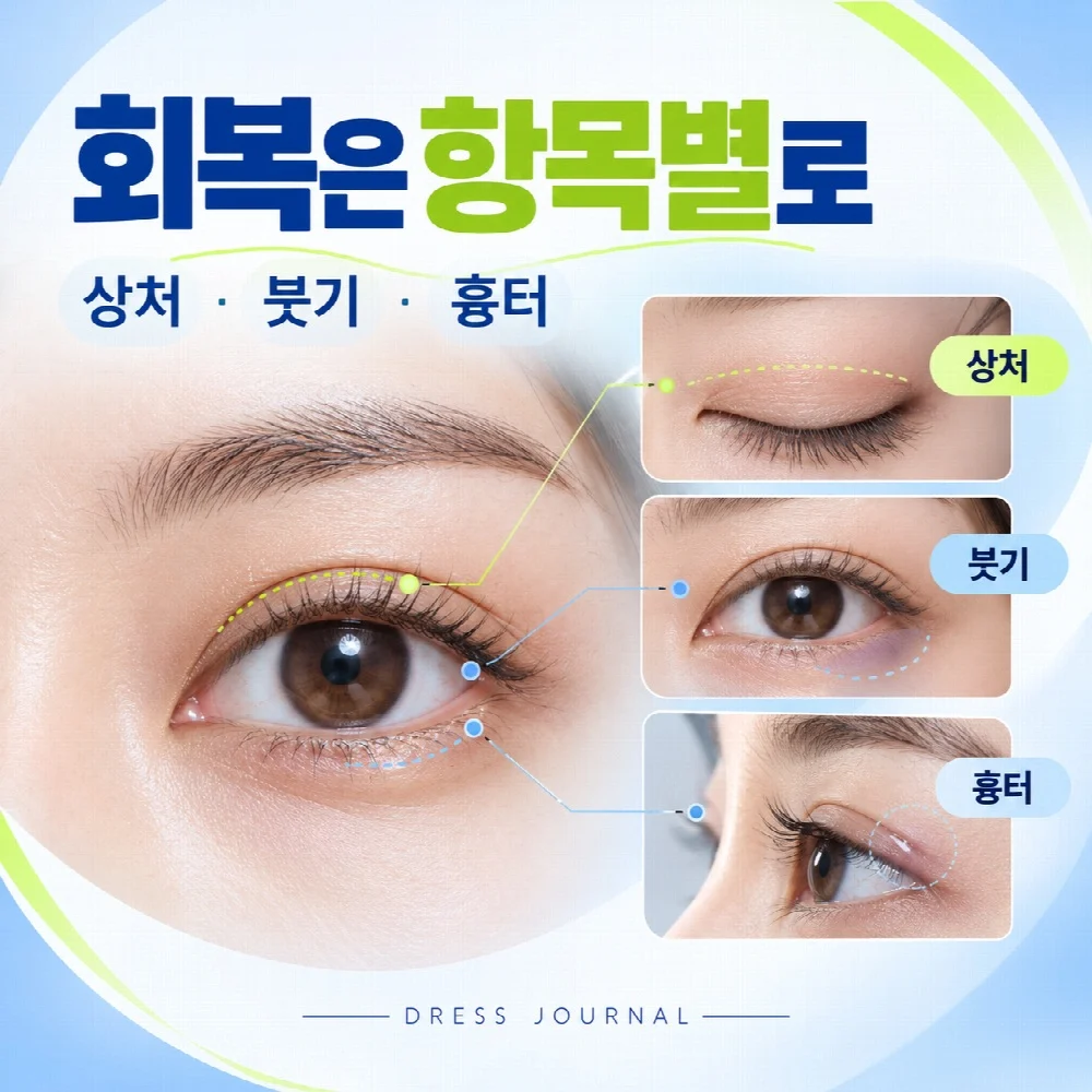 회복은 항목별로 — 상처 · 붓기 · 흉터