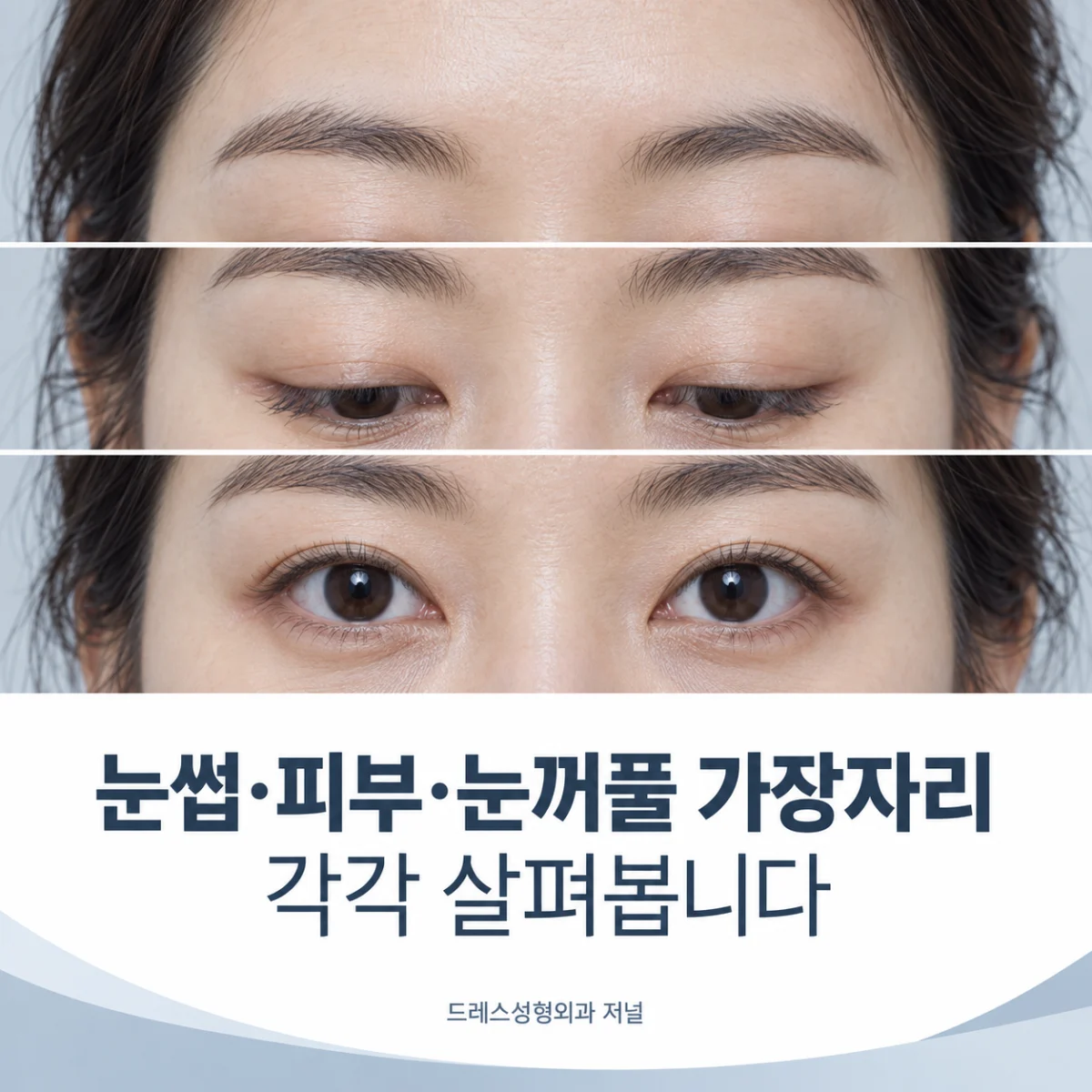 눈썹·피부·눈꺼풀 가장자리 각각 살펴봅니다