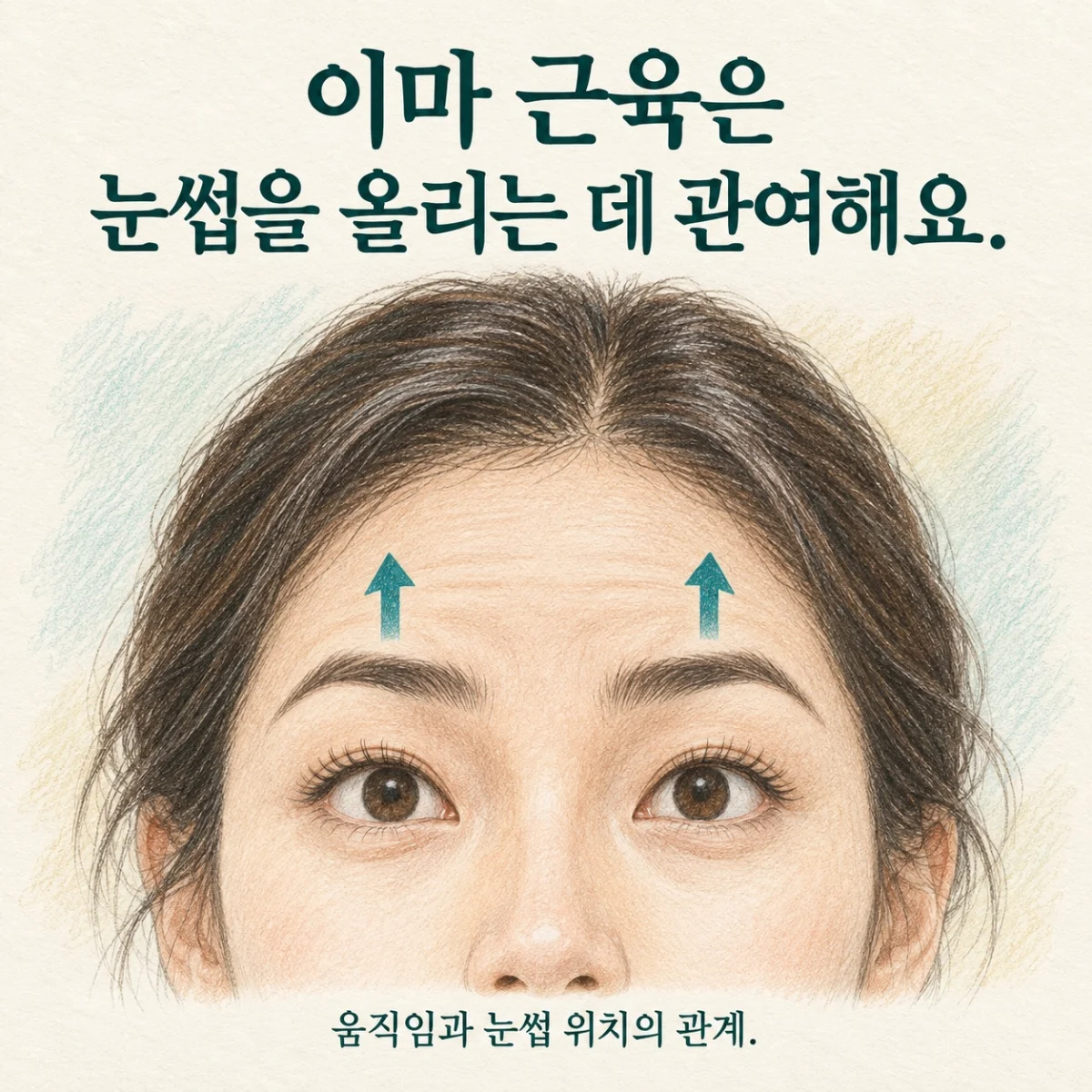 이마 움직임과 눈썹을 올리는 작용의 관계를 설명하는 그림
